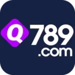 Q789 Game